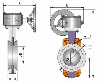 蜗轮对夹蝶阀结构图